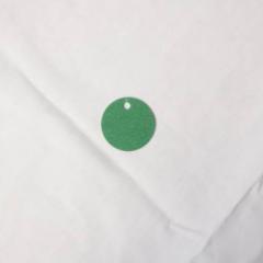 Green circle blank metal tag with pre-punched hole.